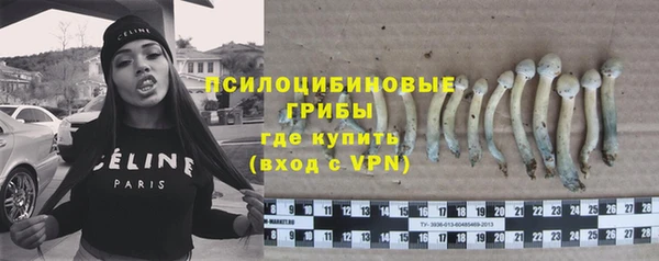 гидра Нефтегорск