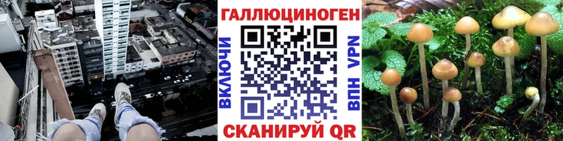 Псилоцибиновые грибы мухоморы  Северо-Курильск 